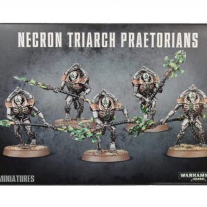 Necron Lychguard / Triarch Praetorians